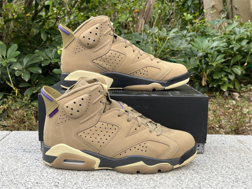 Authentic Air Jordan 6 Gore-Tex “Brown Kelp”