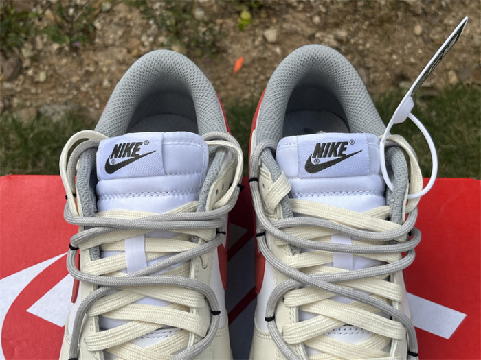 Authentic Nike SB Dunk Low White Iron Grey