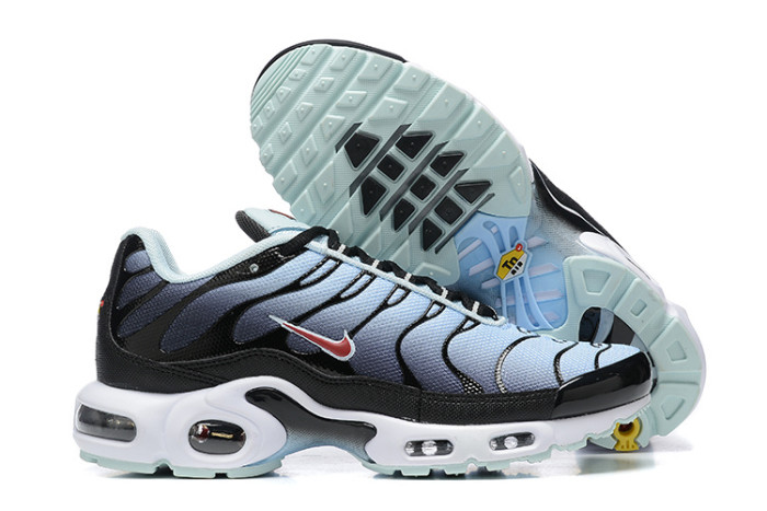 Nike Air Max TN Plus men shoes-1713