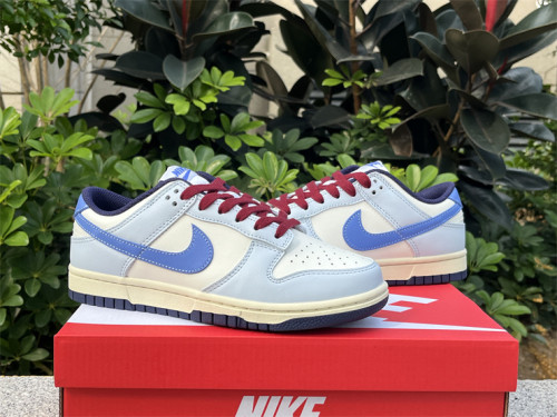 Authentic Nike Dunk Low FV8113-141