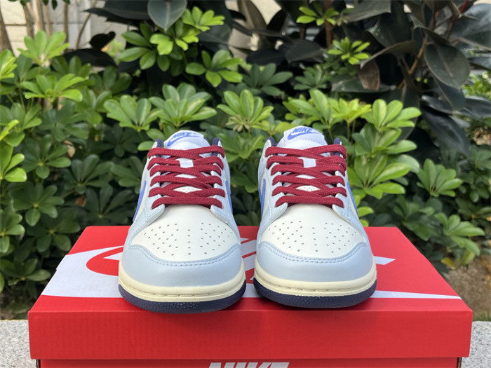 Authentic Nike Dunk Low FV8113-141