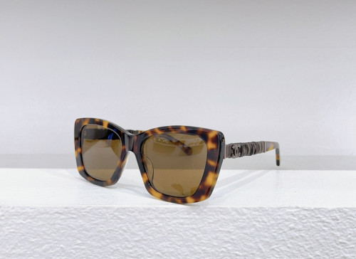 CHNL Sunglasses AAAA-3001