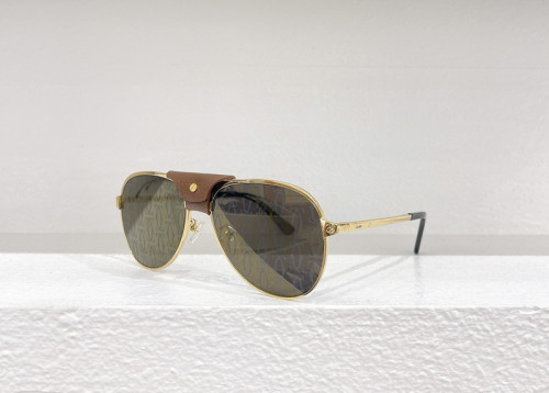 Cartier Sunglasses AAAA-3916