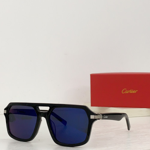 Cartier Sunglasses AAAA-3829