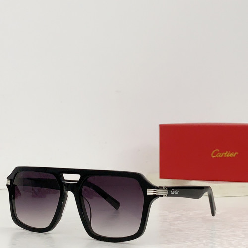 Cartier Sunglasses AAAA-3831