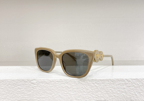 Versace Sunglasses AAAA-2071