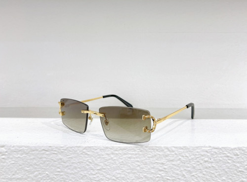 Cartier Sunglasses AAAA-4289