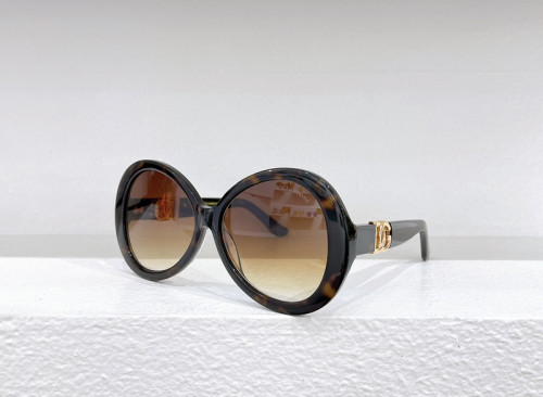 D&G Sunglasses AAAA-1824