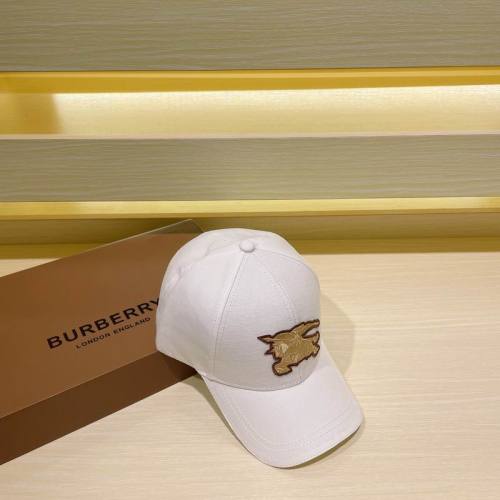 Burrerry Hats AAA-593