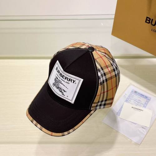 Burrerry Hats AAA-649