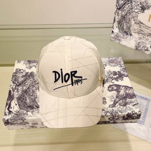 Dior Hats AAA-810