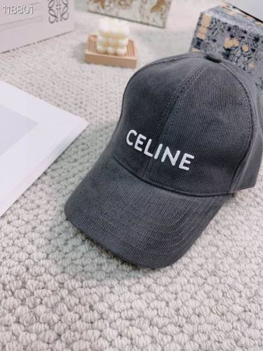 Celine Hats AAA-388