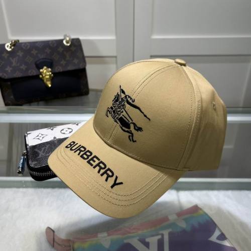 Burrerry Hats AAA-558