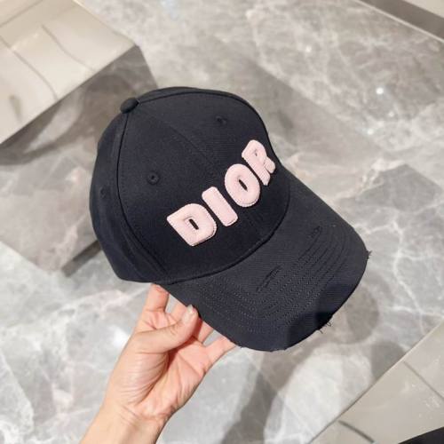 Dior Hats AAA-1069