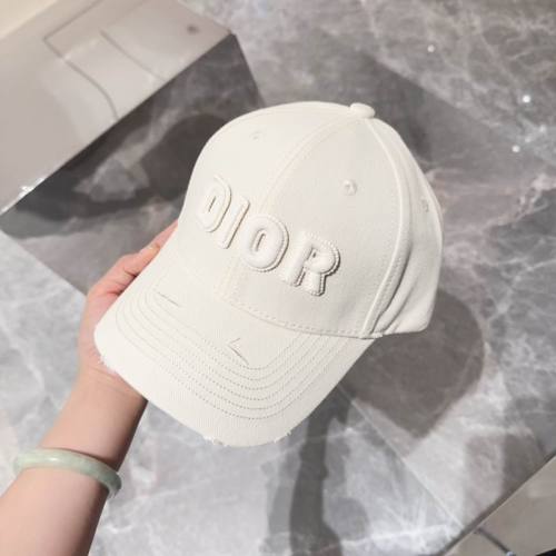 Dior Hats AAA-1071