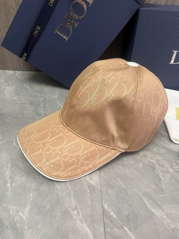 Dior Hats AAA-1057