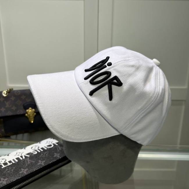 Dior Hats AAA-1015