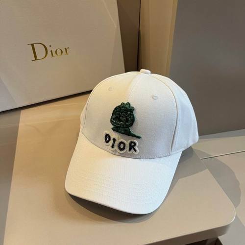 Dior Hats AAA-1041