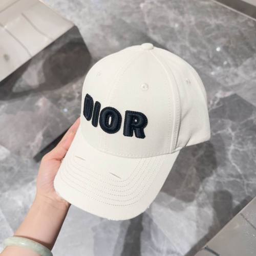 Dior Hats AAA-1074