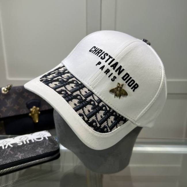 Dior Hats AAA-1081