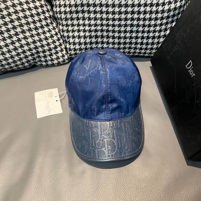 Dior Hats AAA-1173