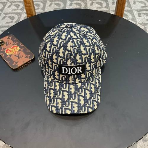 Dior Hats AAA-1254