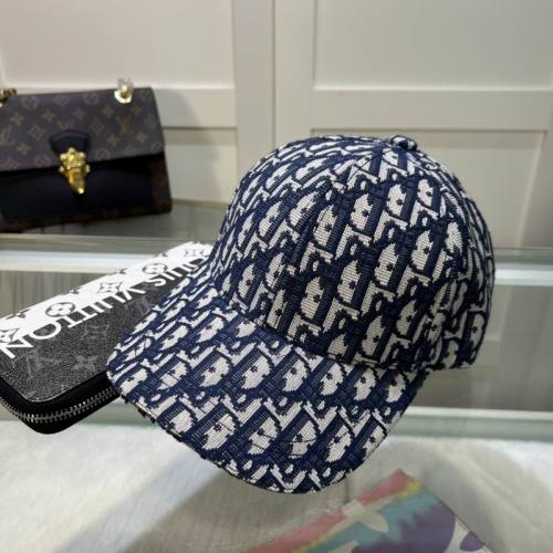 Dior Hats AAA-1150