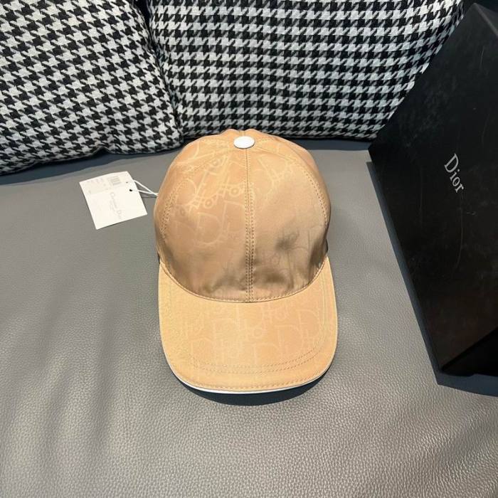 Dior Hats AAA-1169