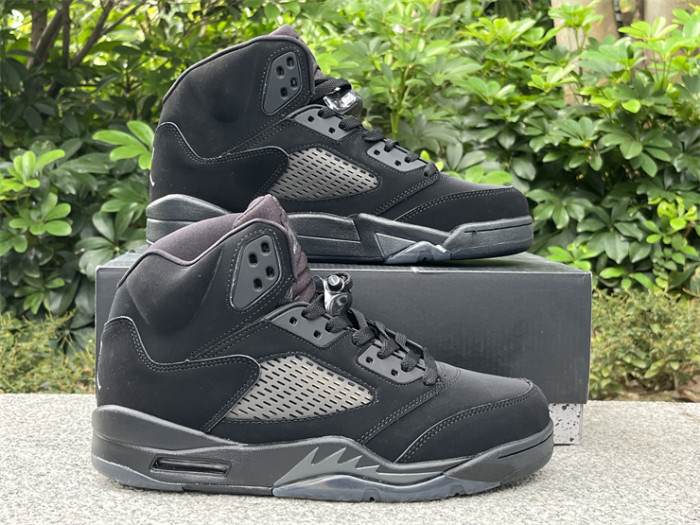 Super Max Perfect jordan 5 shoes-057