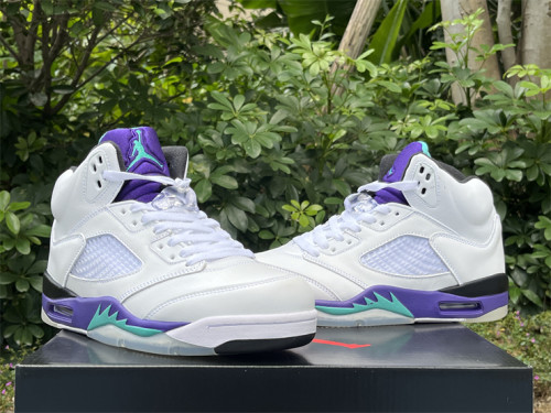 Authentic Air Jordan 5 Retro Grape