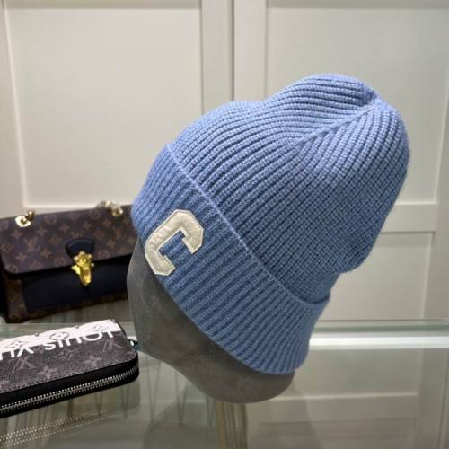Celine Hats AAA-1353