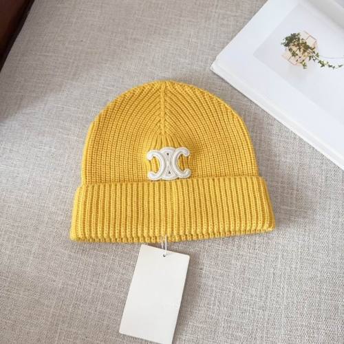 Celine Hats AAA-1021