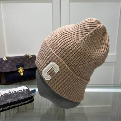 Celine Hats AAA-1357