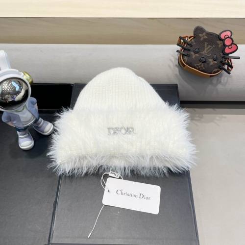 Dior Hats AAA-1394