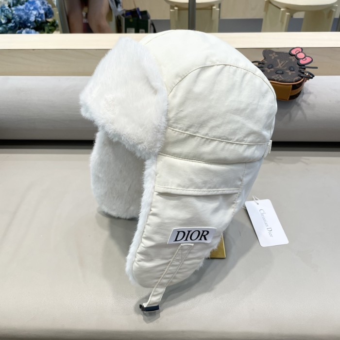 Dior Hats AAA-1386