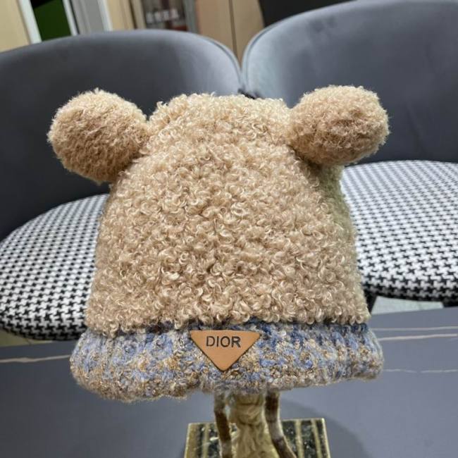 Dior Hats AAA-1391