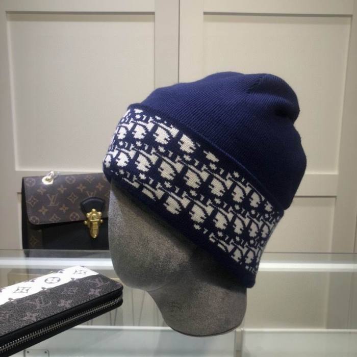 Dior Hats AAA-1331