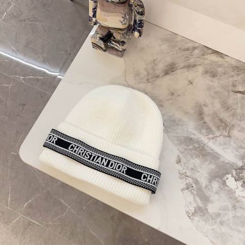 Dior Hats AAA-1301