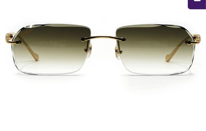 Cartier Sunglasses AAAA-7551