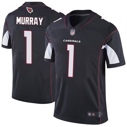 NFL Arizona Cardinals-066
