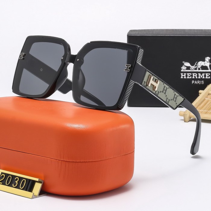 Hermes Sunglasses AAA-223