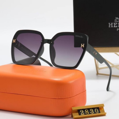 Hermes Sunglasses AAA-045