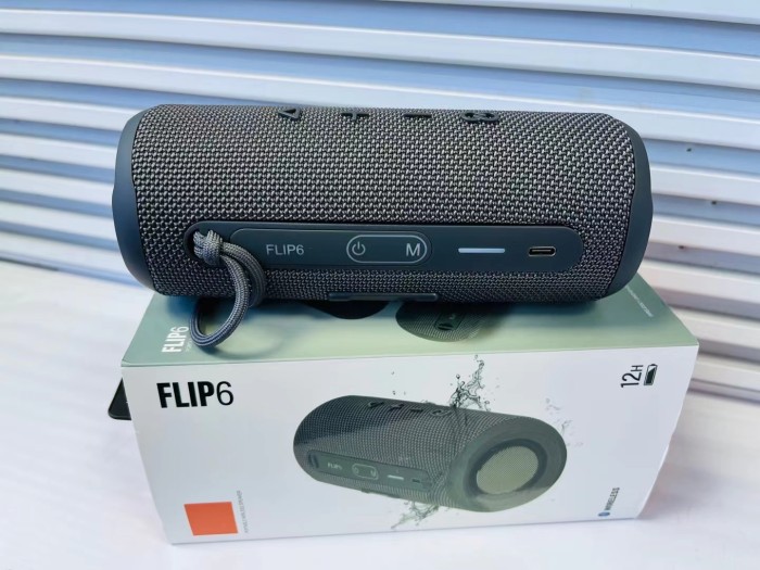 JBL FLIP 6