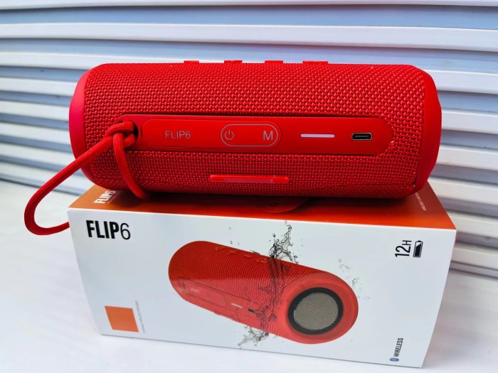 JBL FLIP 6