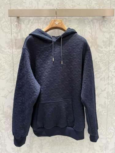 Dior Hoodies High End Quality-219