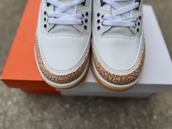 Super Max Perfect Jordan 3 shoes-032