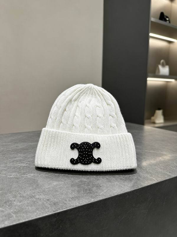 Celine Hats AAA-1800