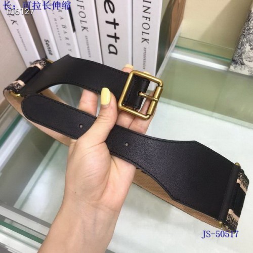 Super Perfect Quality Dior Belts(100% Genuine Leather,steel Buckle)-1128
