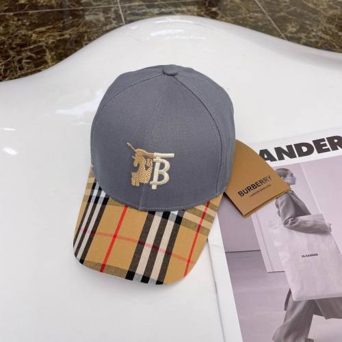 Burrerry Hats AAA-446