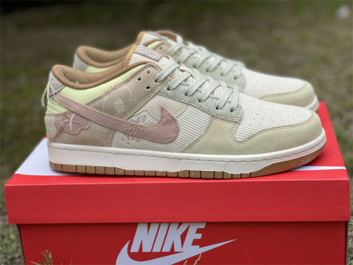 Authentic Nike Dunk Low Bright Side